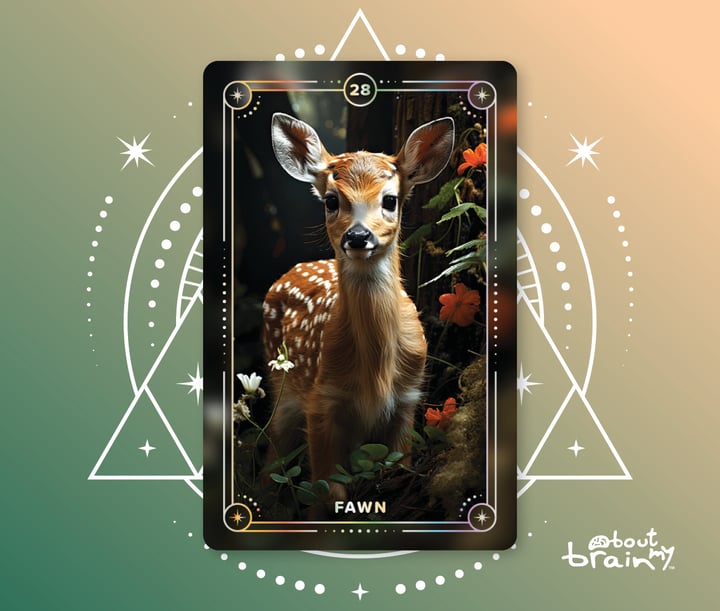 Fawn Meaning & Significance Spirit Animals Oracle Deck