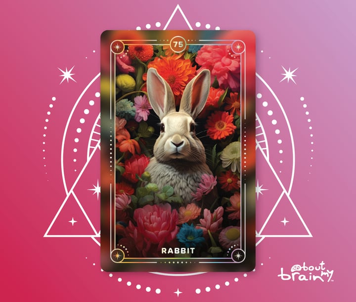 Rabbit Meaning & Significance Spirit Animals Oracle Deck