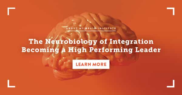 The Neurobiology Of Integration Becoming A High Performing Leader