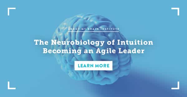 The Neurobiology Of Intuition Becoming An Agile Leader