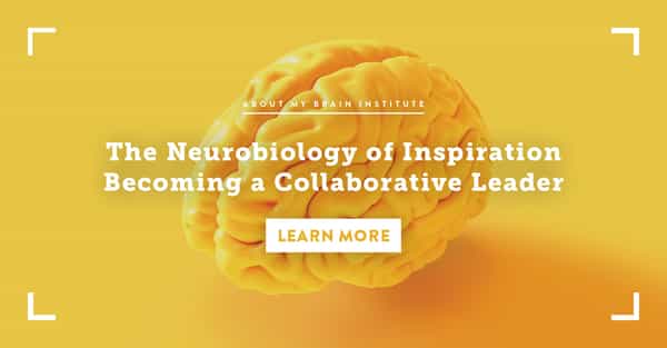 The Neurobiology of Inspiration Becoming a Collaborative Leader
