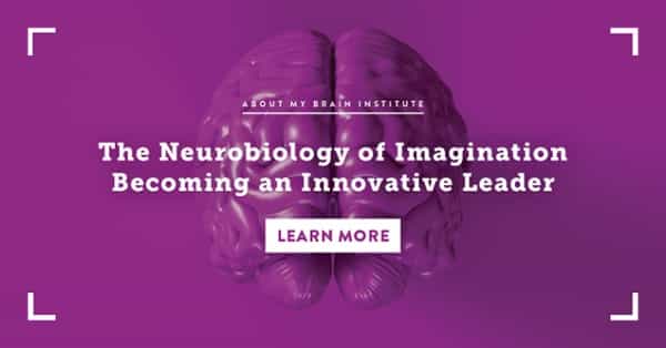 The Neurobiology of Imagination Becoming An Innovative Leader