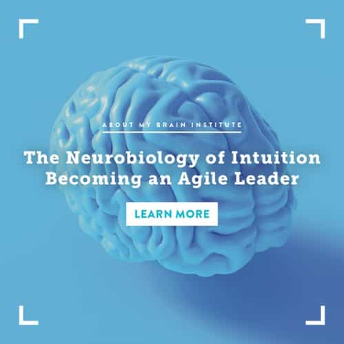 TP 1080 X 1080-The-Neurobiology-Of-Intuition-Becoming-An-Agile-Leader-1