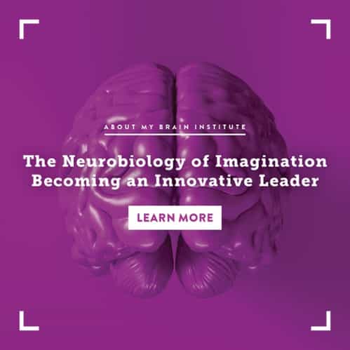 TP 1080 X 1080-The-Neurobiology-of-Imagination-Becoming-An-Innovative-Leader-1