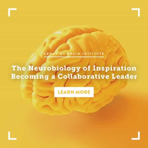 The-Neurobiology-of-Inspiration-Becoming-a-Collaborative-Leader