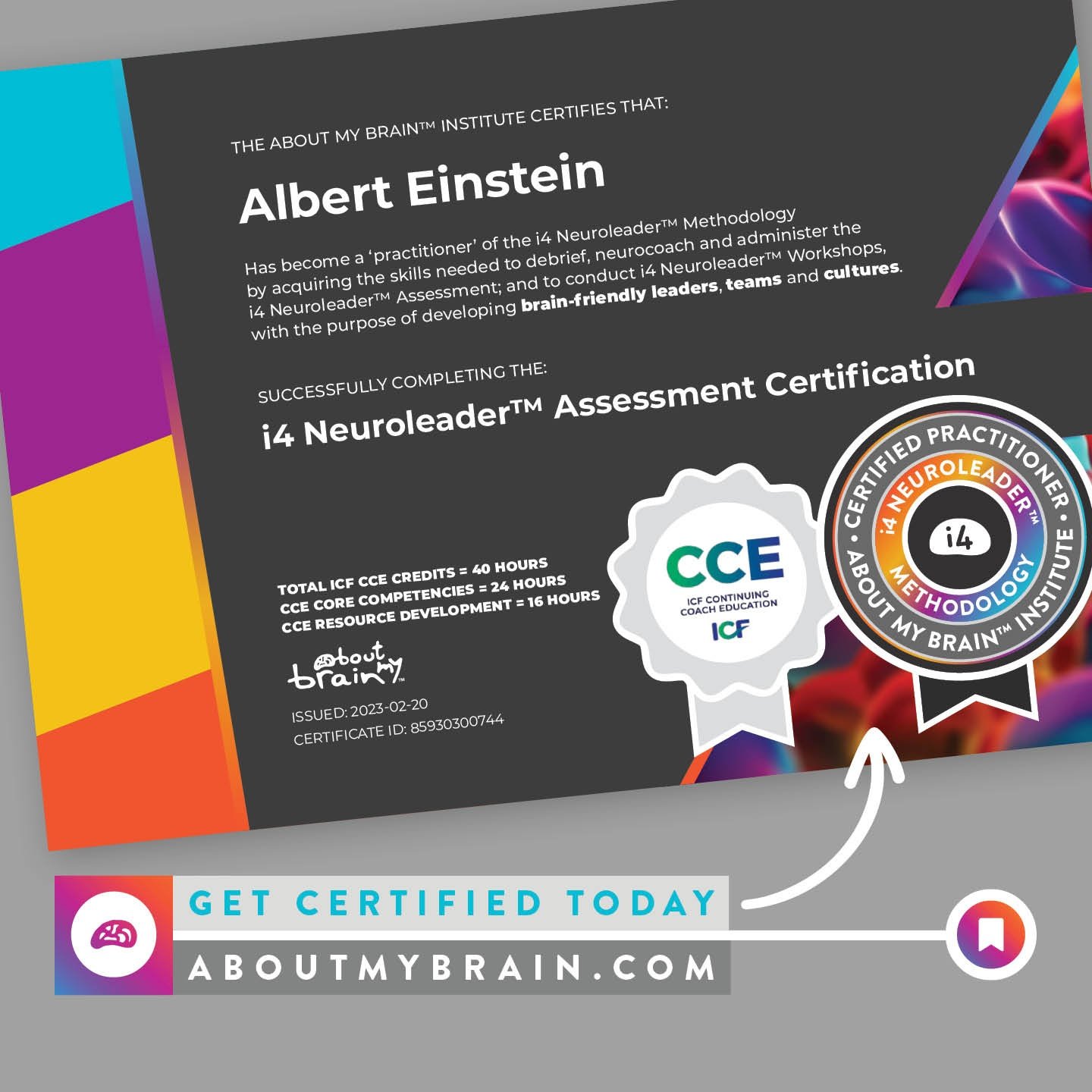i4 Neurolader Certification